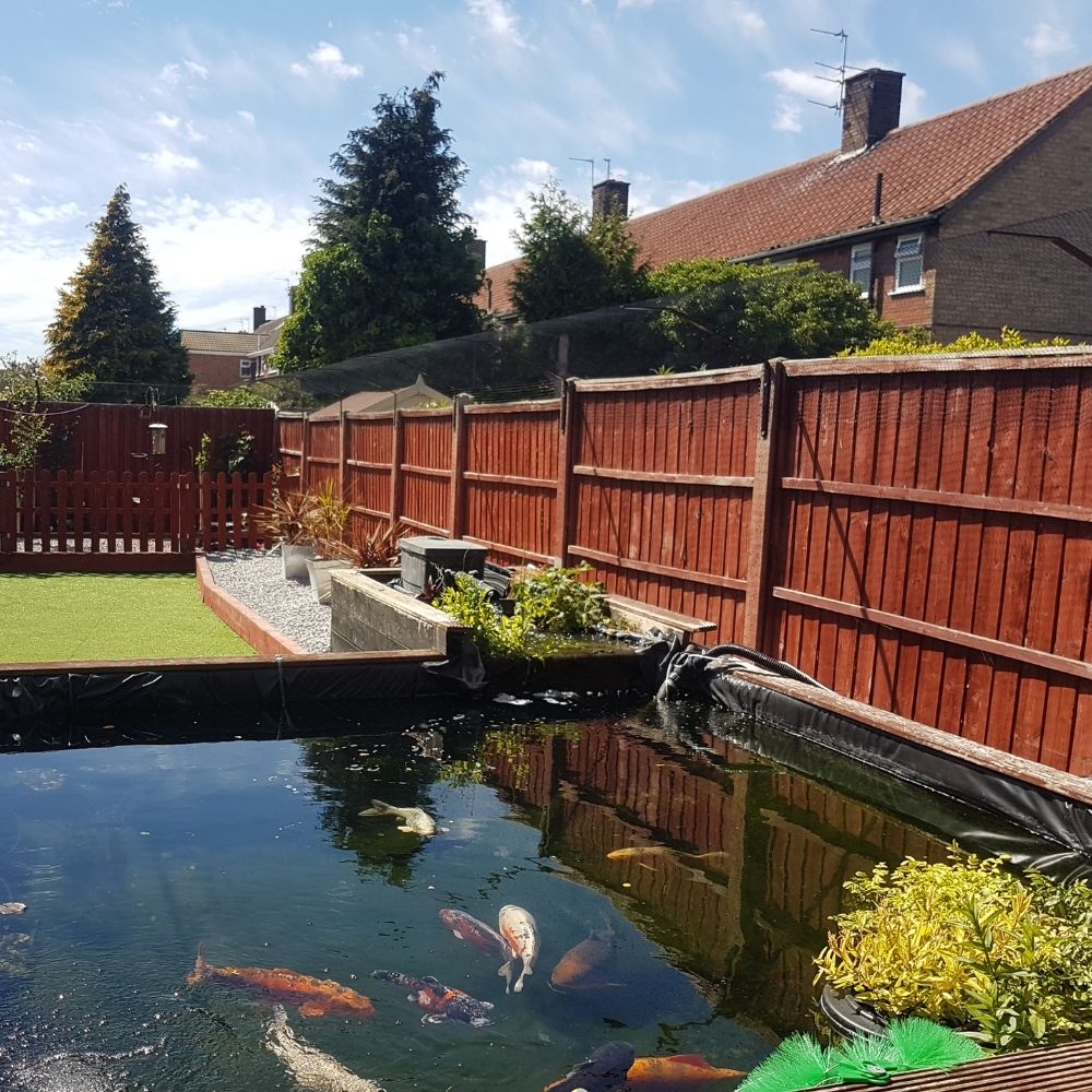 Preparing Your Cat for Life After Lockdown