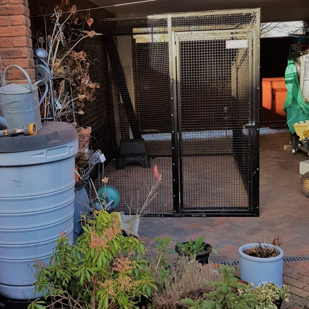 ProtectaPet Donate Catio to Rescue in Crewe