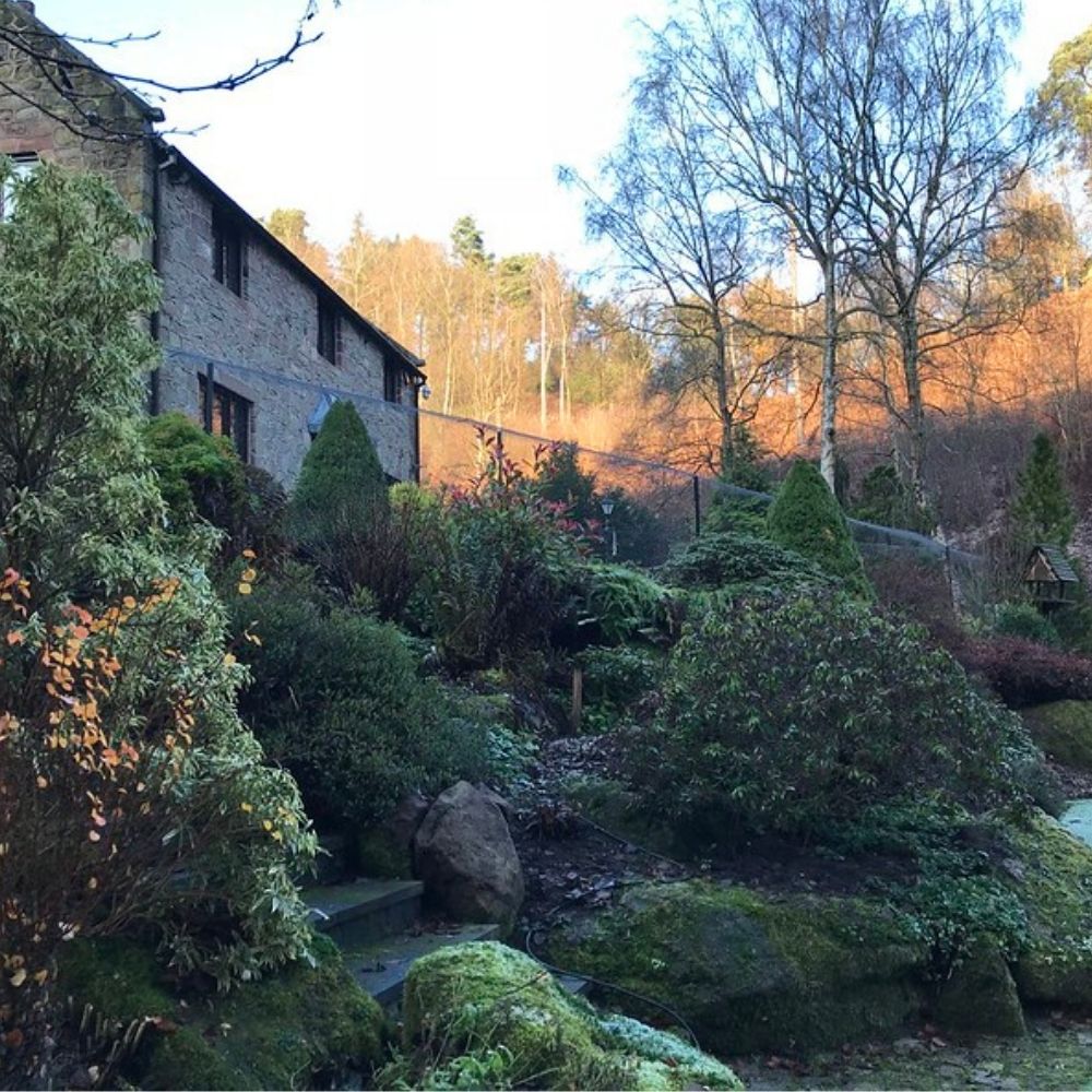 Reminder: Be Antifreeze Aware