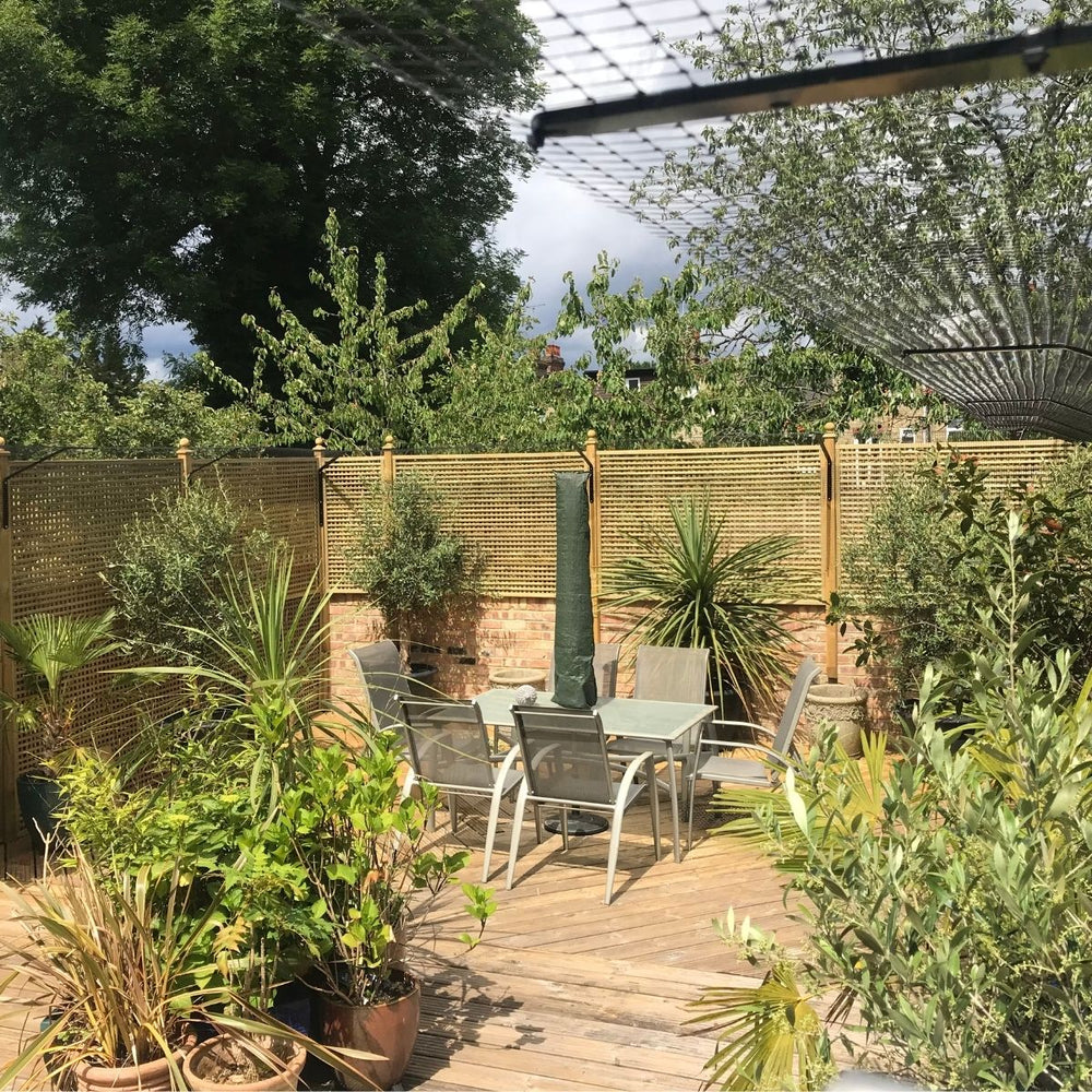 Spring Time Tips for Cat Owners