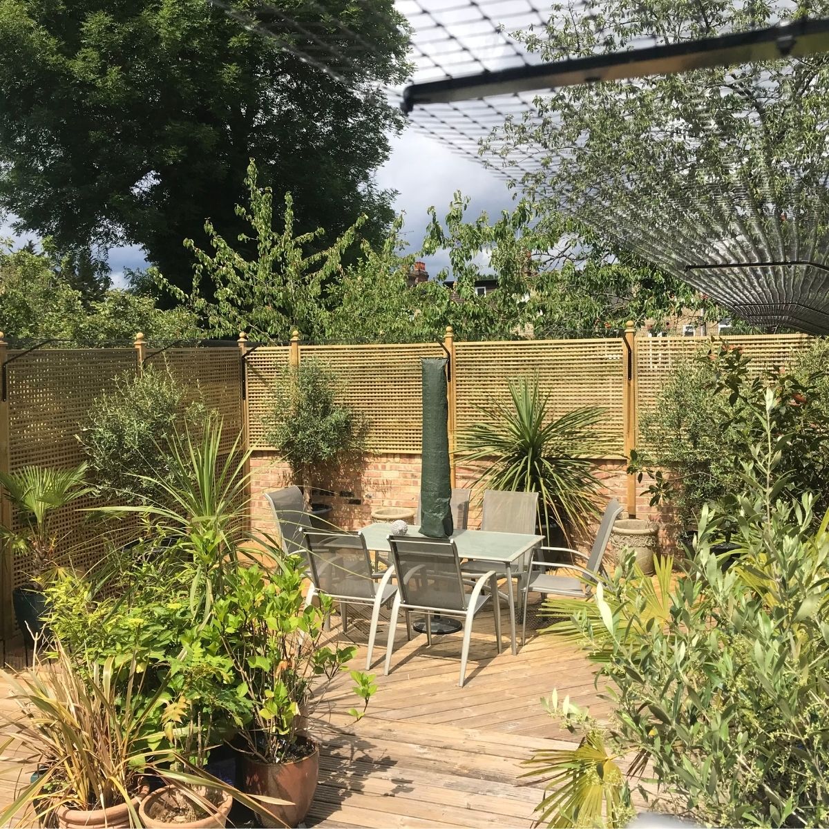 Spring Time Tips for Cat Owners