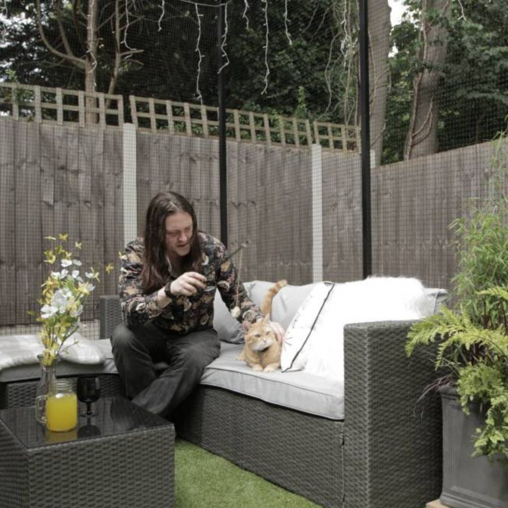 Street Cat Named Bob Passes Away Aged 14