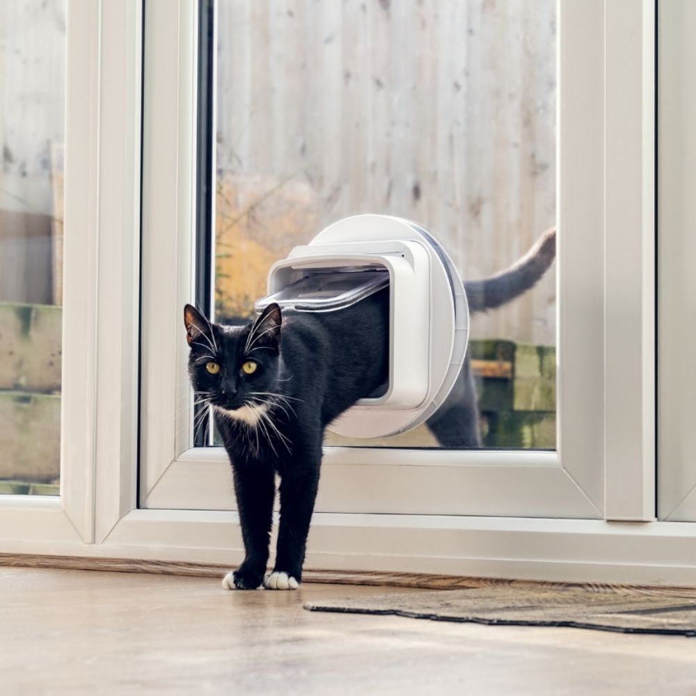 Microchip cat flap discount connect