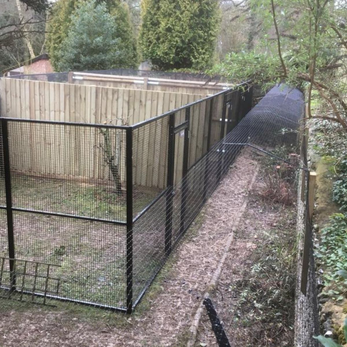 Three Steel Cat Runs Installed at Battersea