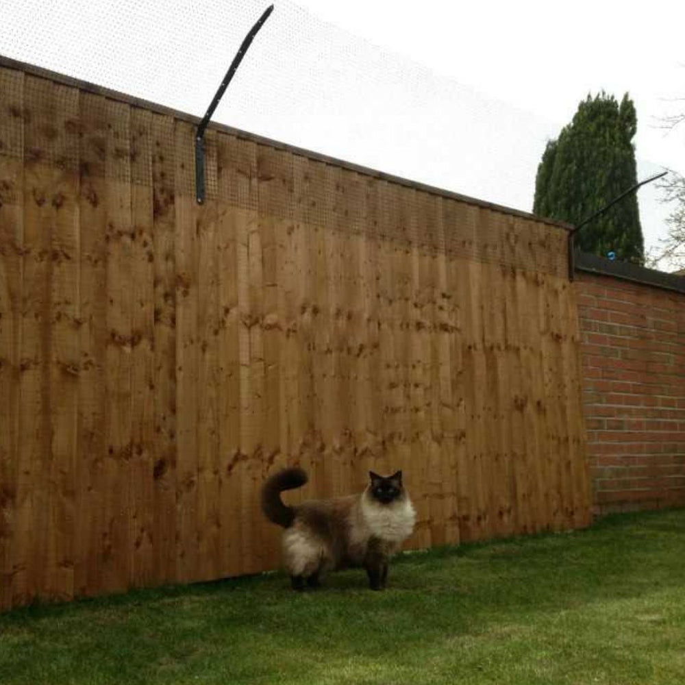 Unprecedented Demand for Cat Containment as London Cat Killings Continue