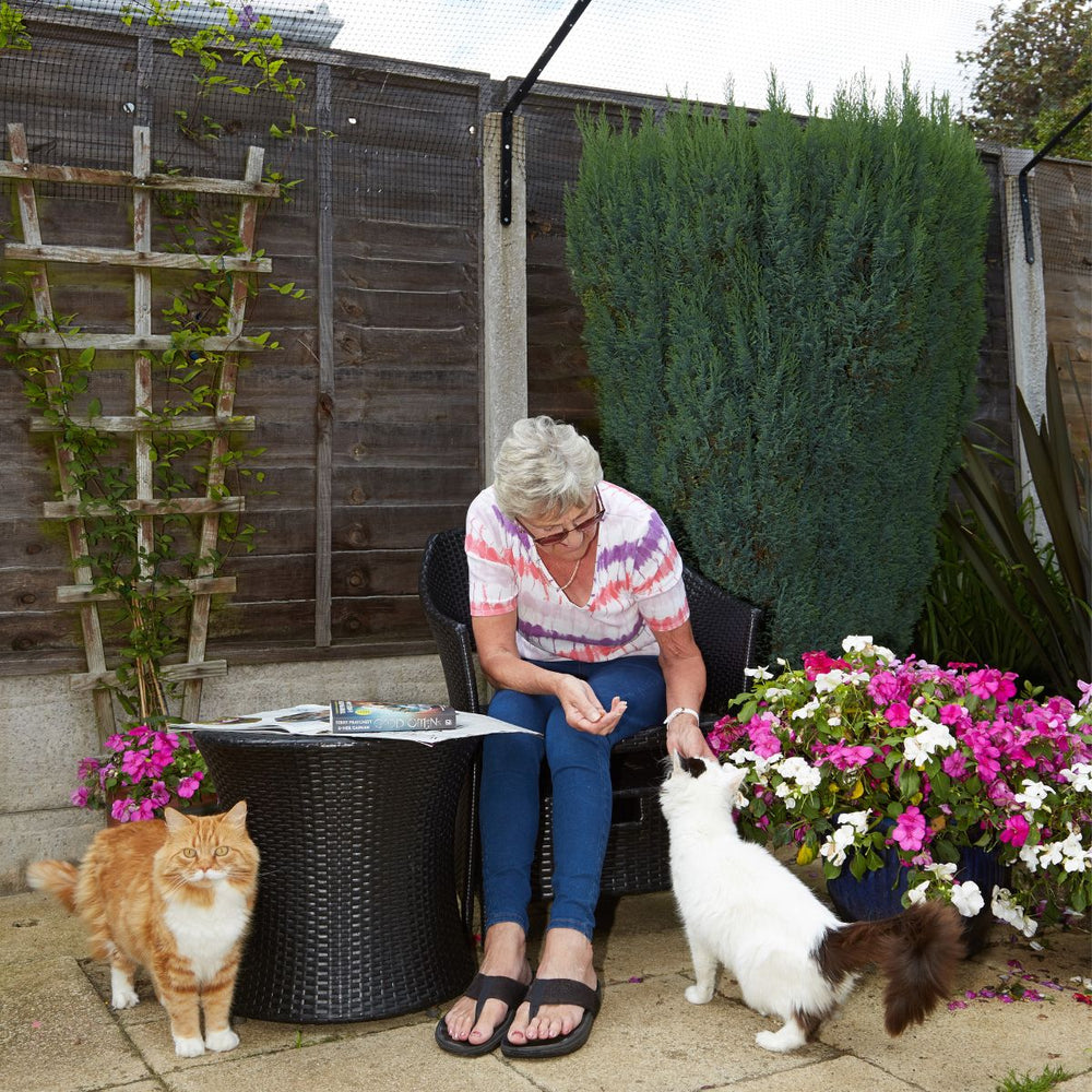 "Super Fosterer" Application Form for Free Cat Fencing Solutions