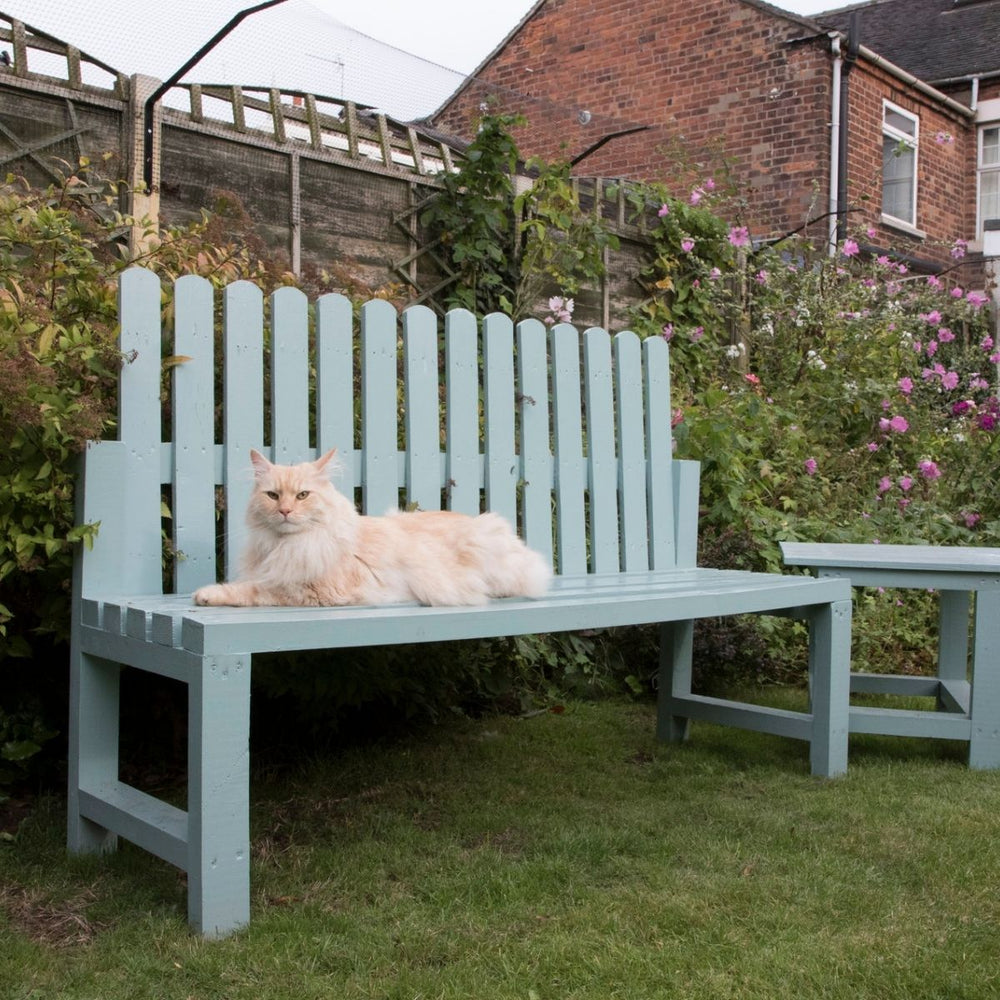 What Every Cat Owner Needs to Know about Gardens