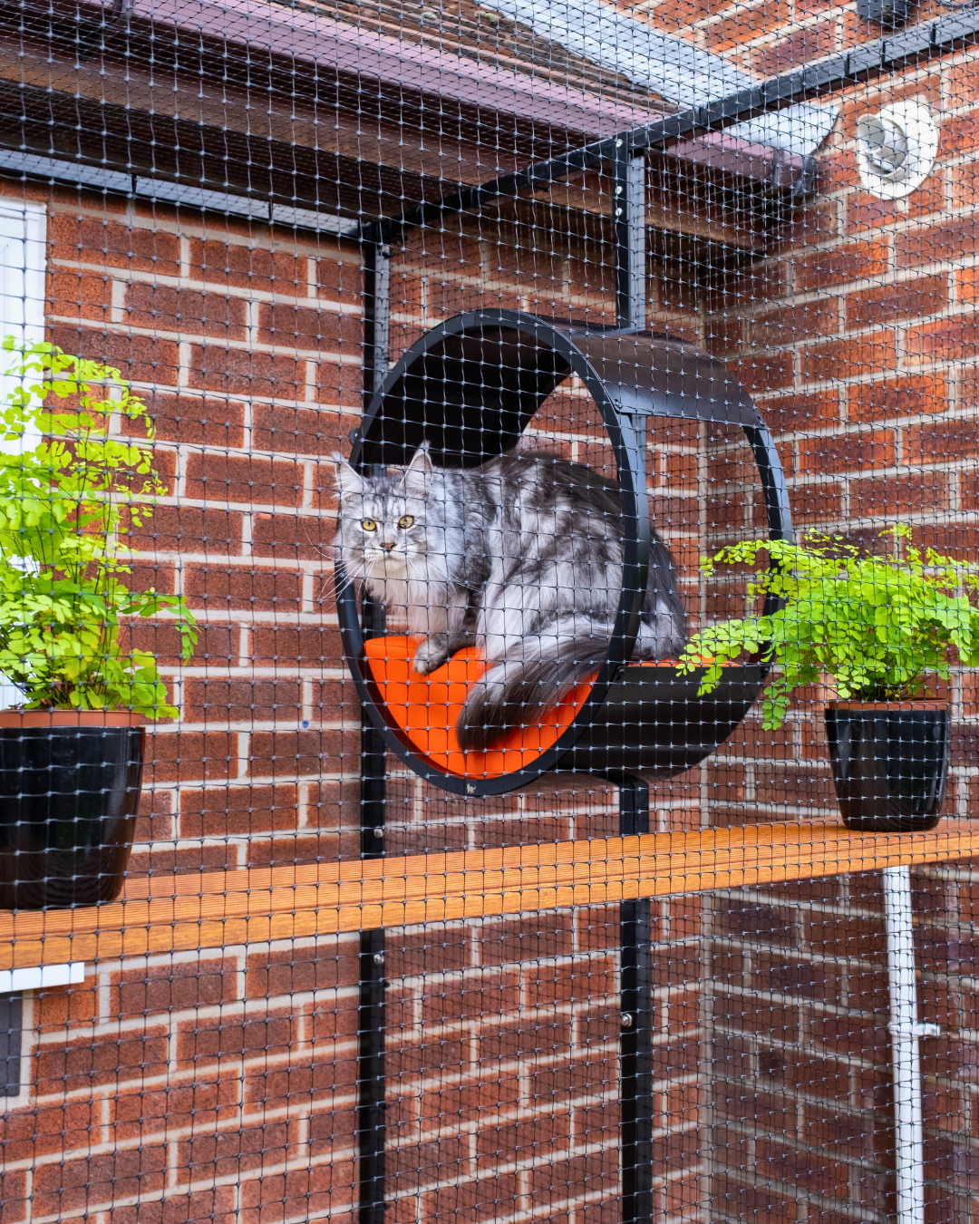 ProtectaPet® Polypropylene Cat Fence Mesh 2.4m Wide