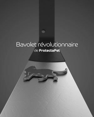 Bavolet révolutionnaire