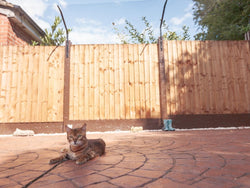 Extra Long Cat Fence Barrier for Existing Fences or Walls 5ft+