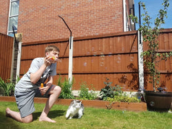 1.6m+ Fence Cat Barrier