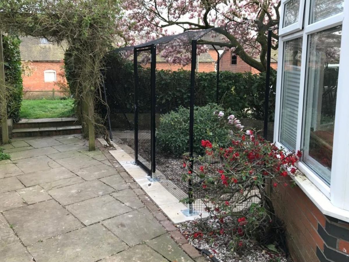 Cat Enclosure Fencing Patio