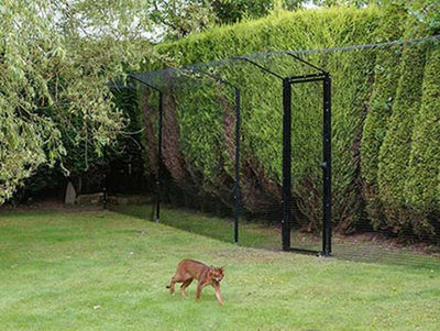 Cat Fencing Cat Enclosures Catios Cat Runs Cat Fence ProtectaPet