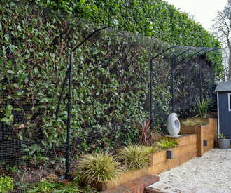 Cat Enclosure Against Bush