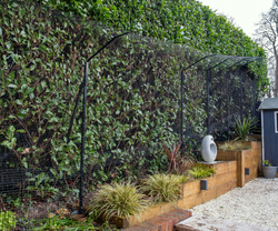 Cat Enclosure Fencing on Turf