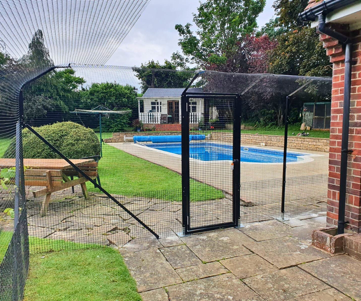 Cat Enclosure Fencing Patio
