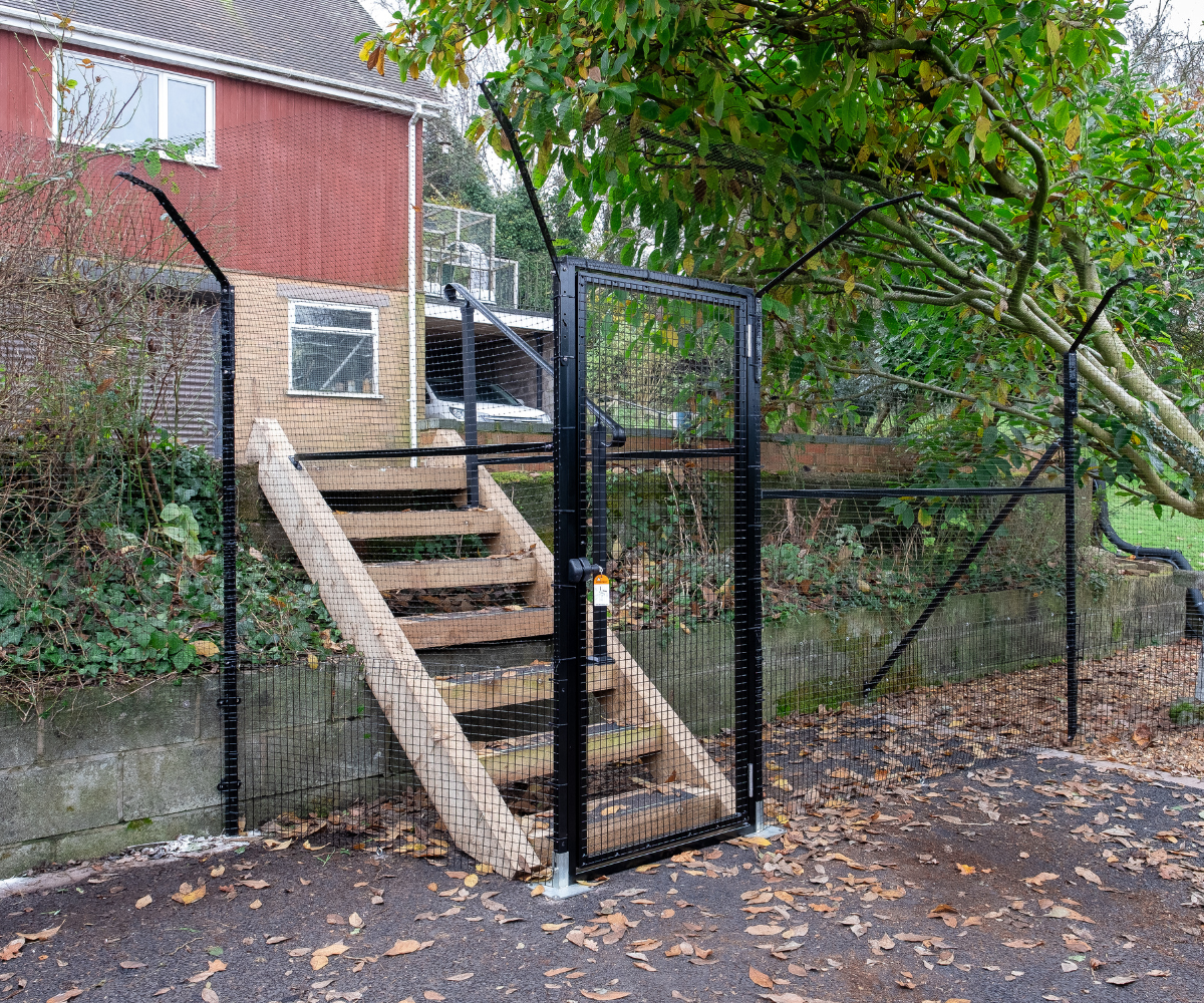 Cat Enclosure Fencing Patio