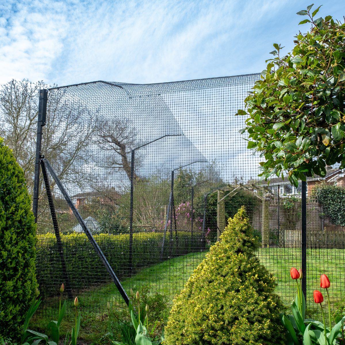 cat enclosure on turf