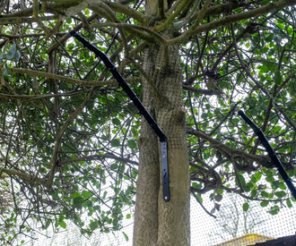 Cat Fence Barrier On Tree