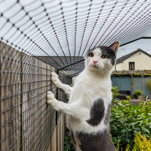 ProtectaPet® Mesh 1m Wide