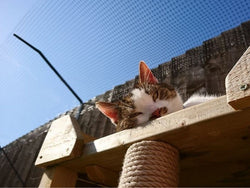 Cat Fence Barrier