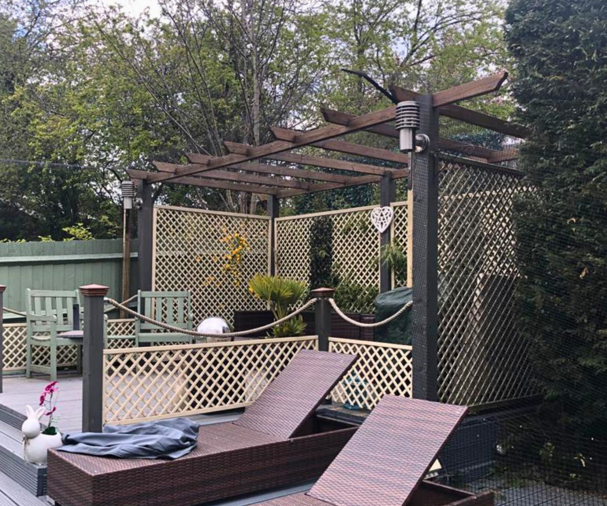 Cat Proof Pergola