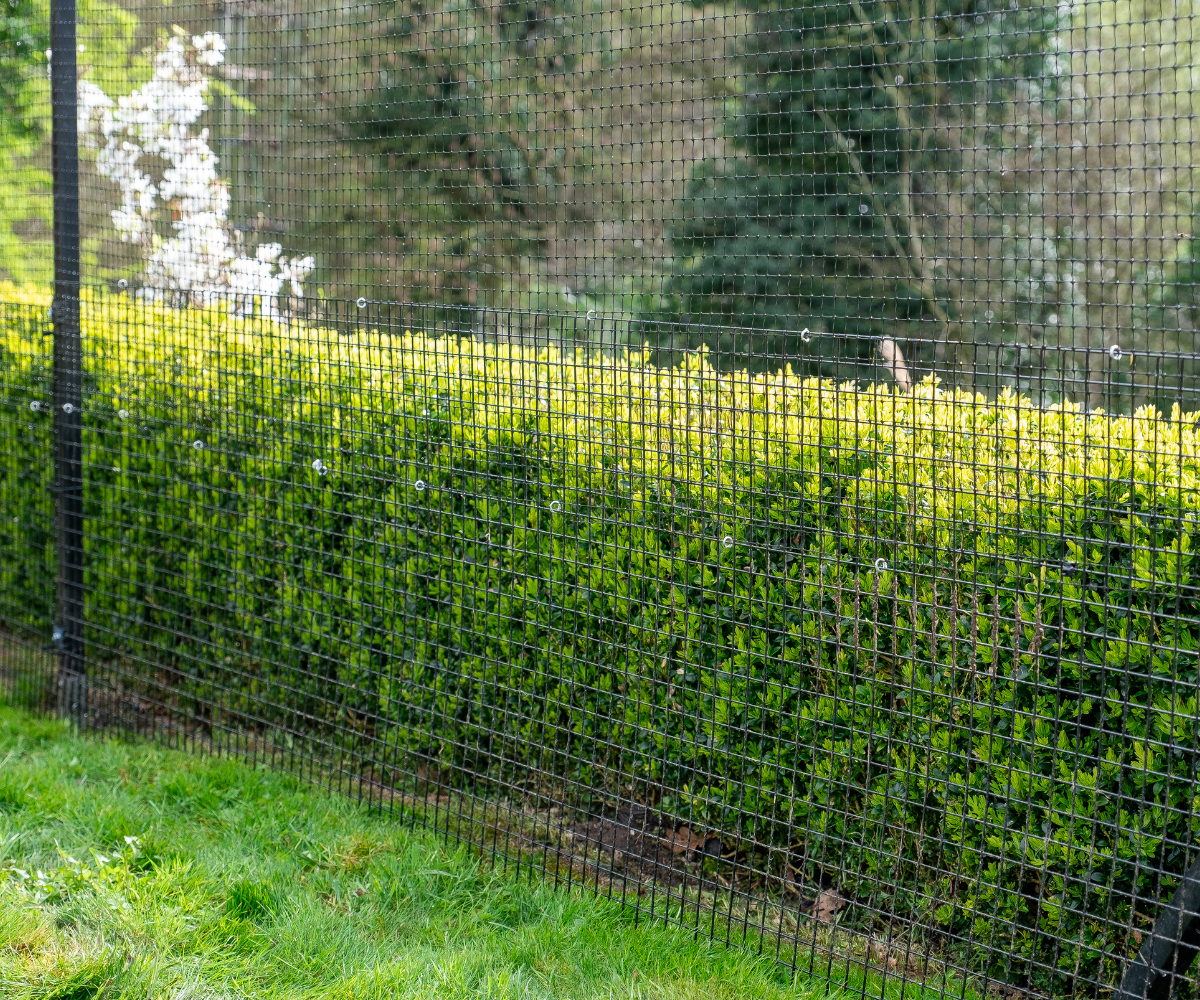 Cat Enclosure Fencing on Turf