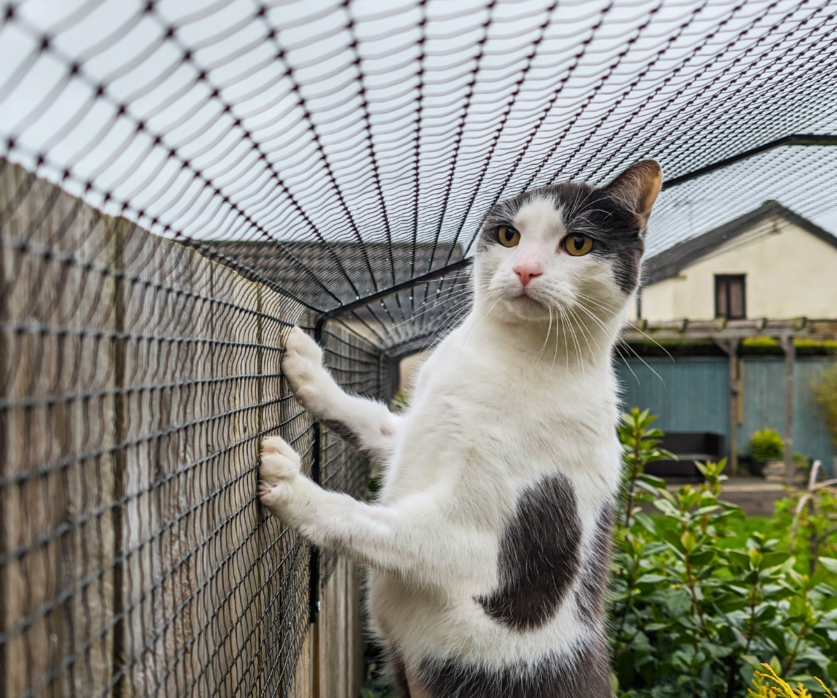 1.8m+ Fence Cat Barrier