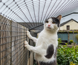 1.8m+ Fence Cat Barrier
