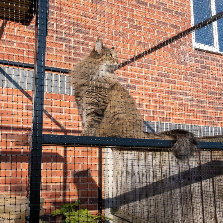 Cat fencing for balcony best sale