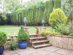 Cat Enclosure Fencing on Turf