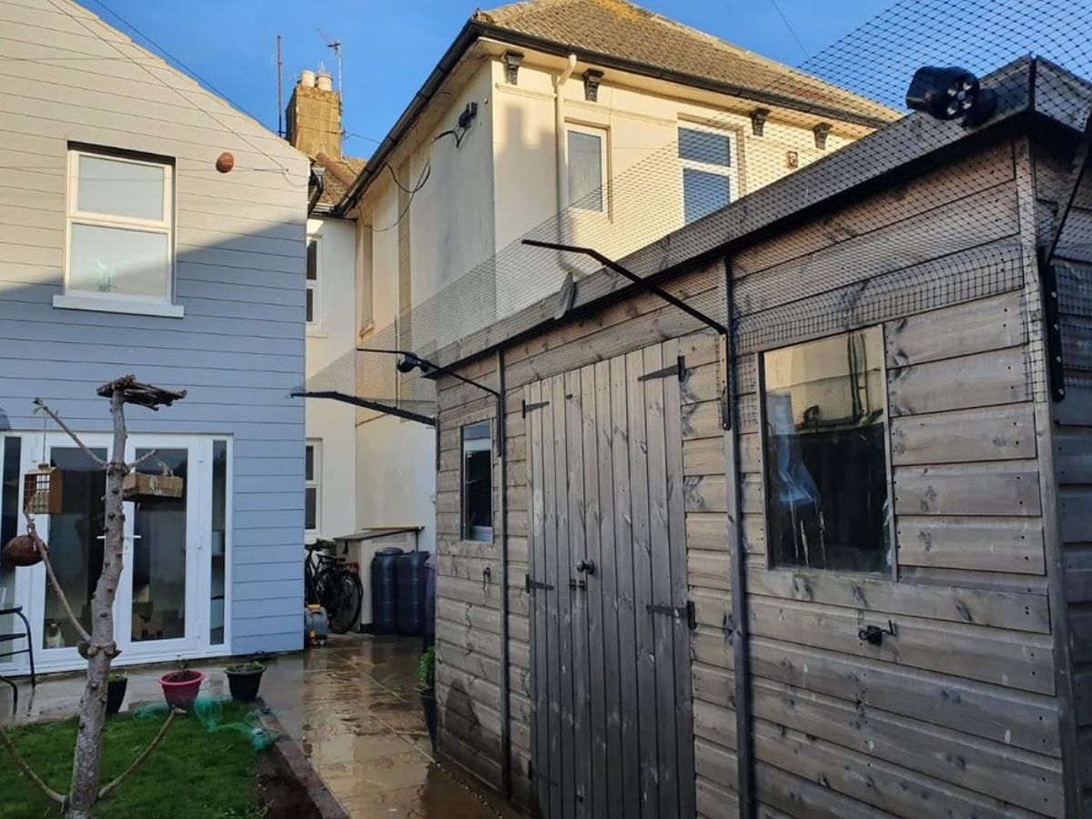 Cat Proof Shed