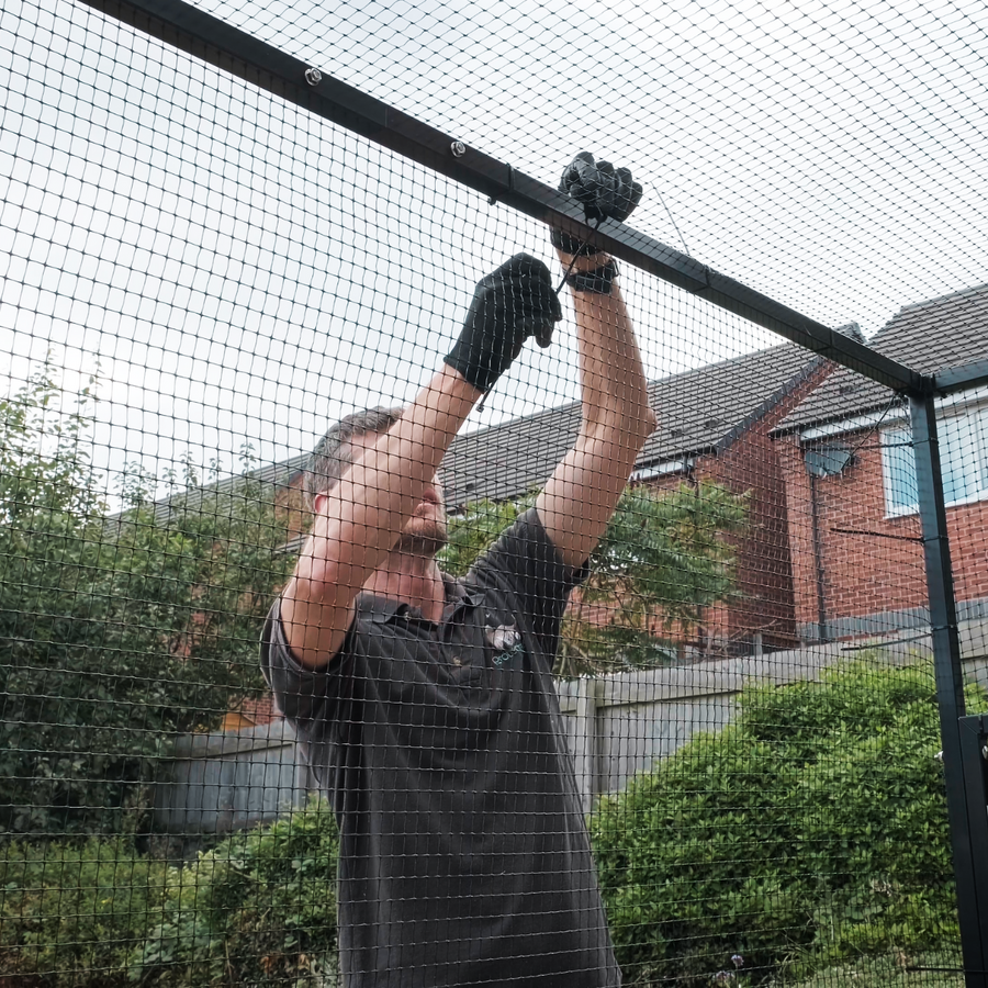 Protectapet catio clearance