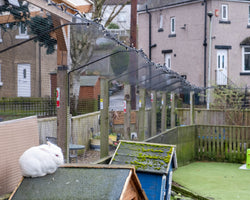 Bradford Cat Watch Rescue and Sanctuary with ProtectaPet