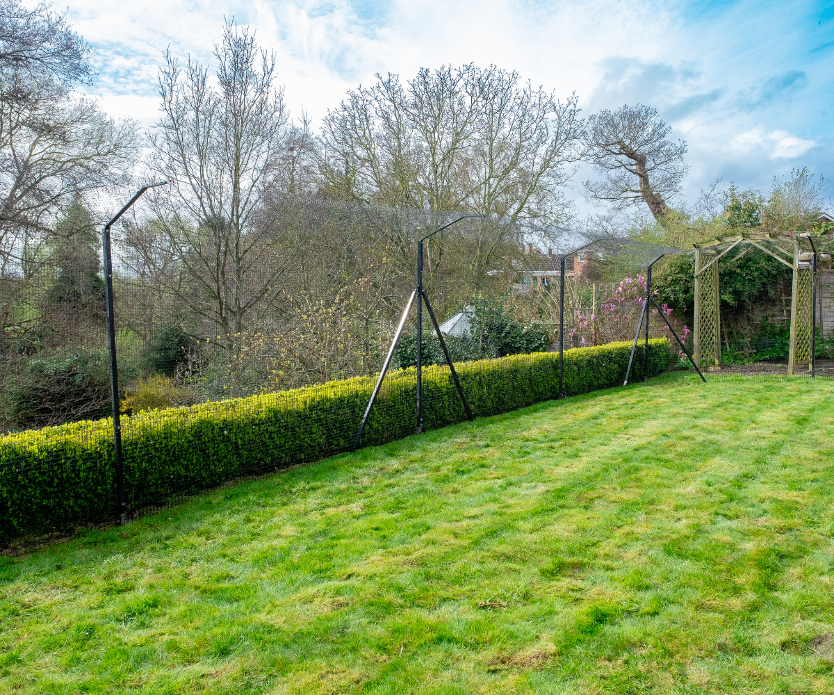 Cat Enclosure Fencing on Turf