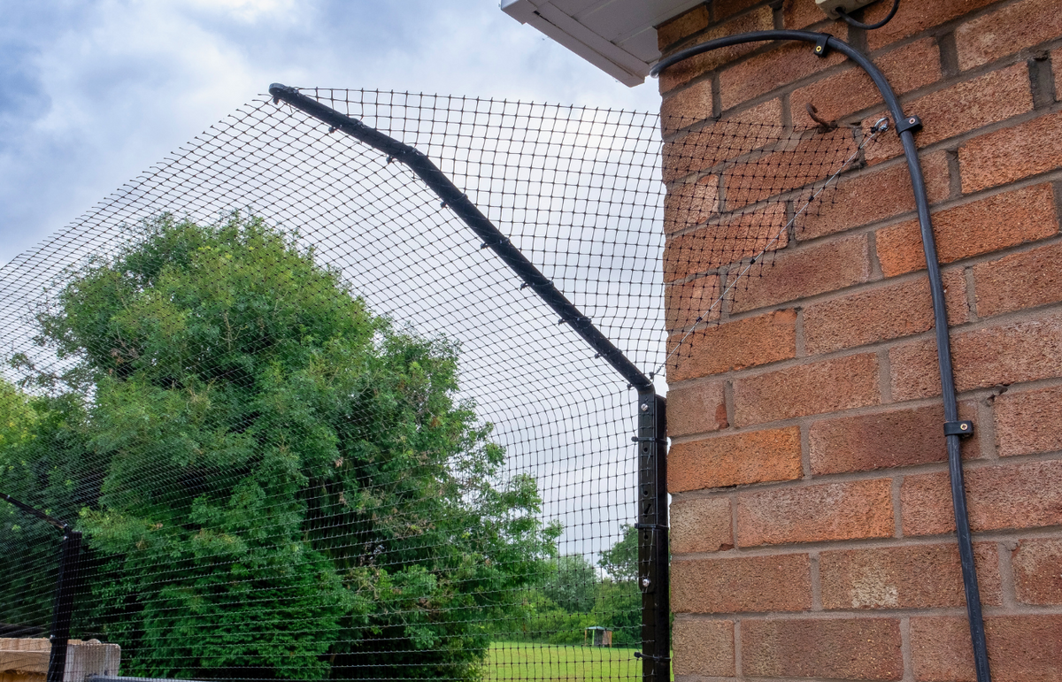 Hook and Wire onto Wall