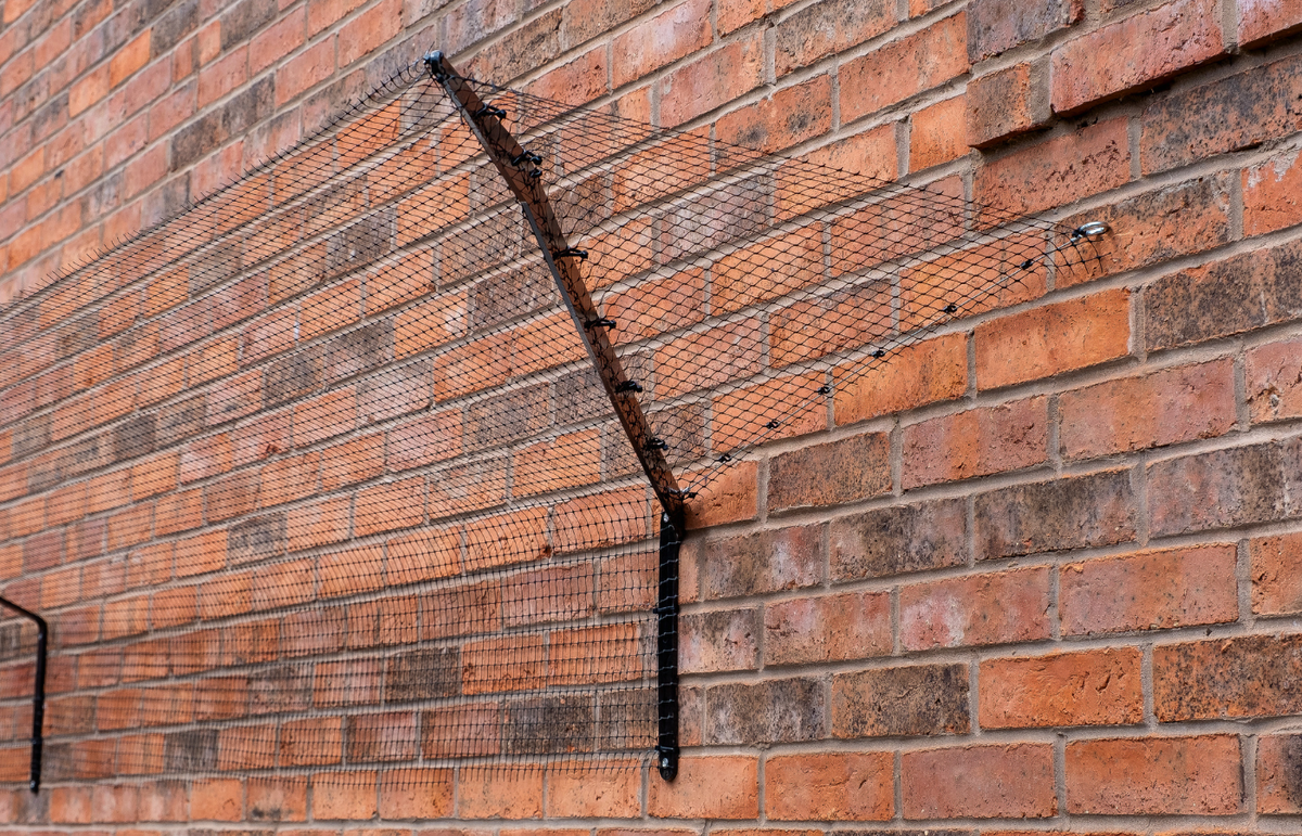 Hook and Wire onto Wall