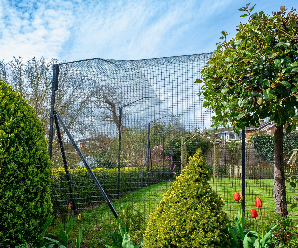 Cat Enclosure Fencing on Turf