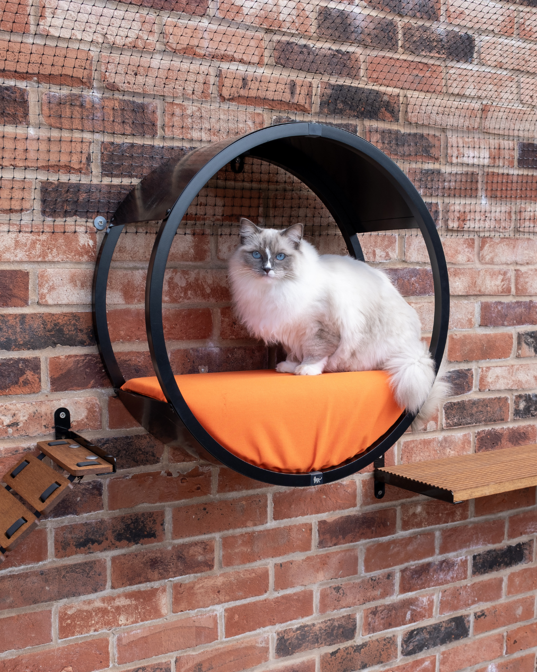 Outdoor Cat Bed