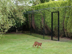 Large Expansive Cat Run