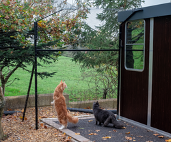 Cat Enclosure Fencing Patio