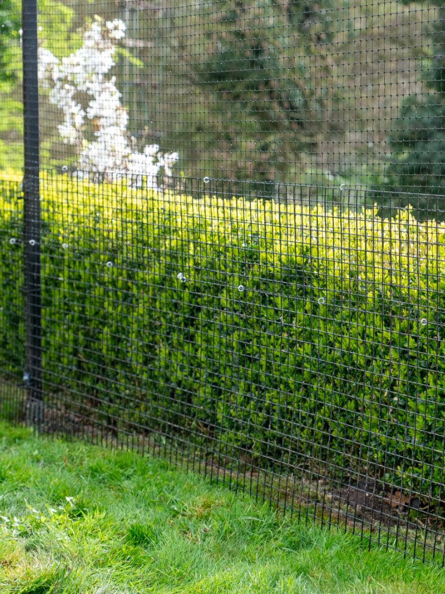 ProtectaPet® Black Steel Welded Mesh