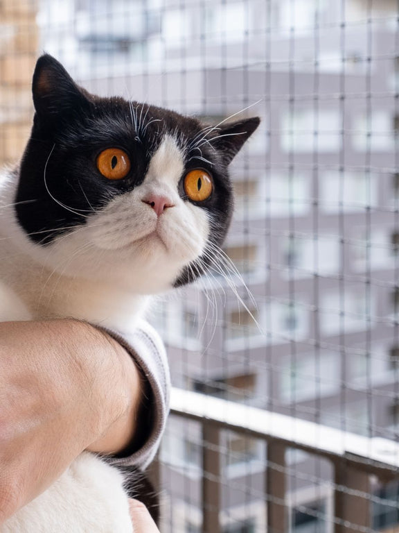 ProtectaPet® Cat Balcony Framed Enclosure Kit