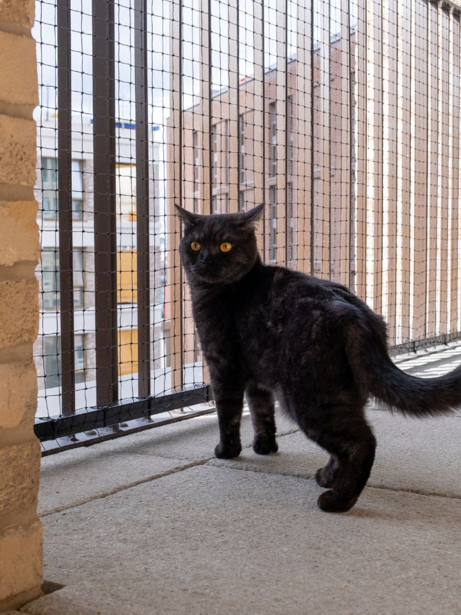 ProtectaPet® Cat Balcony Enclosure Kit