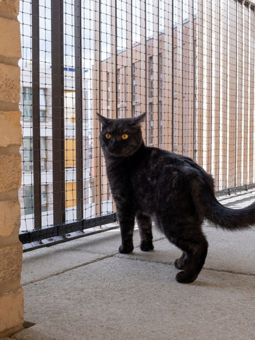 ProtectaPet® Hybrid Cat Netting