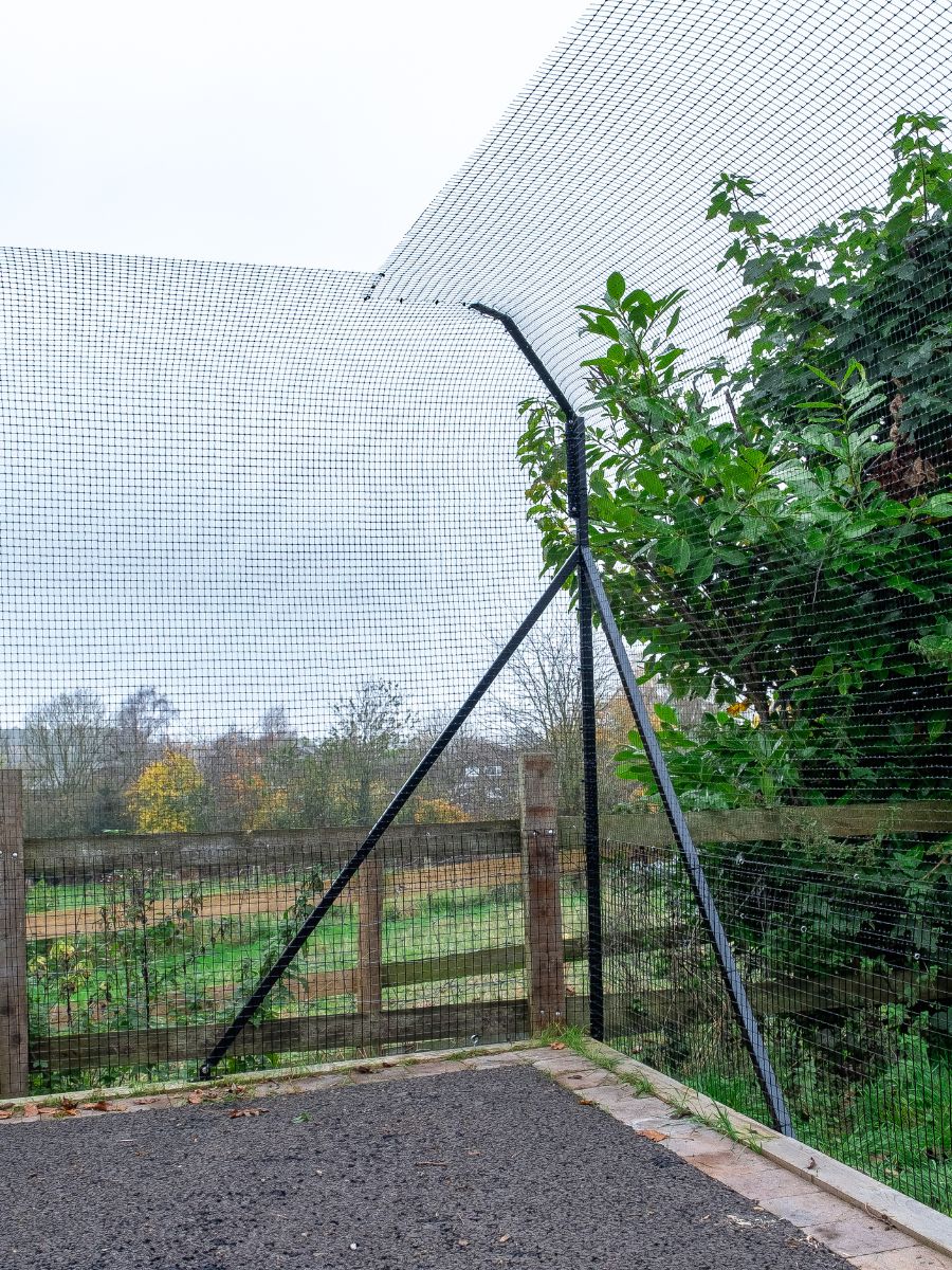 ProtectaPet® Stützstrebe für Katzengehege