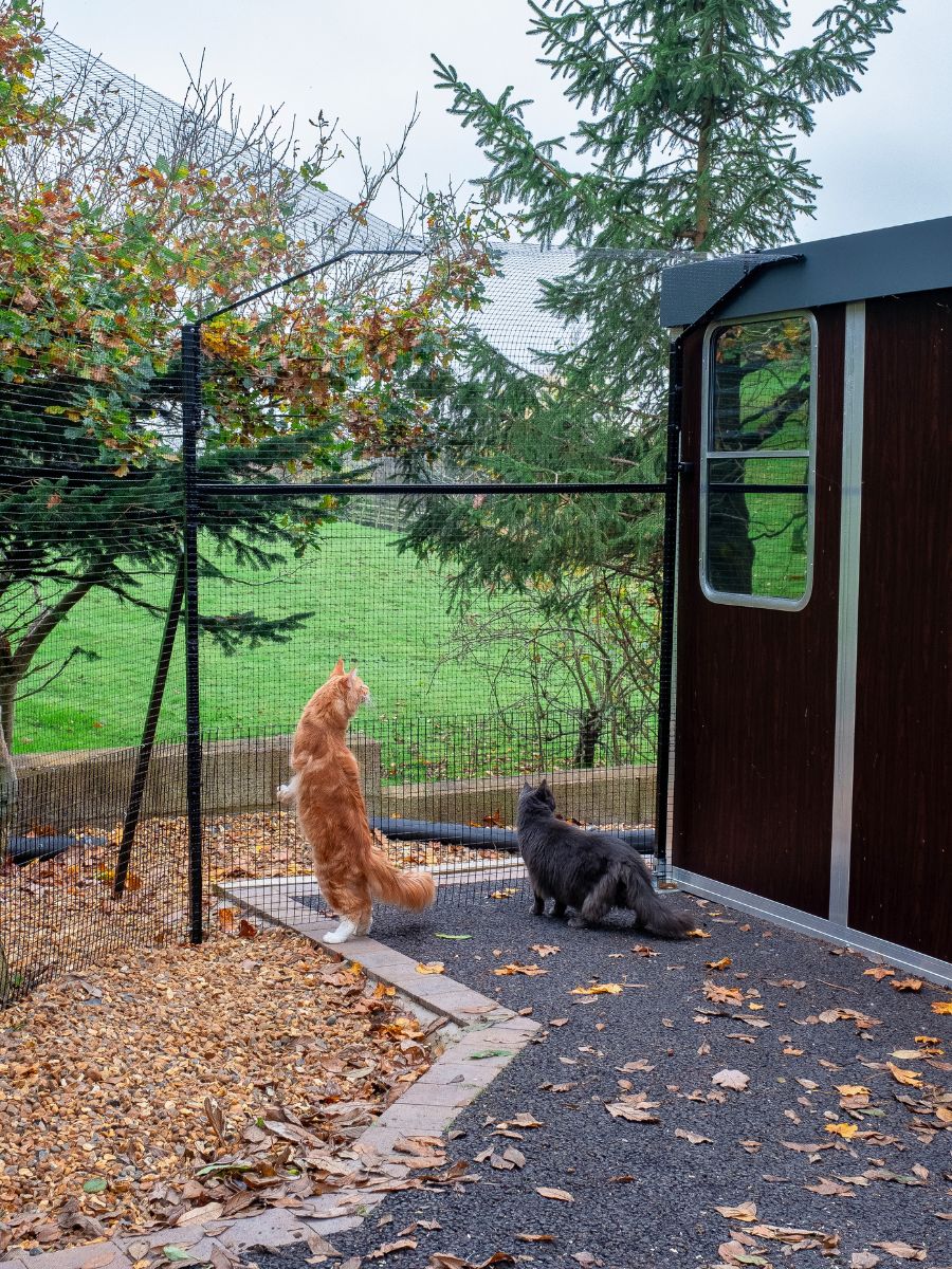 Poteau de clôture pour chats pour gazon ProtectaPet® 