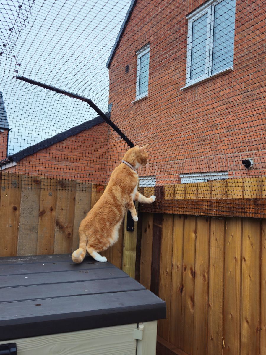 ProtectaPet® Eckadapter für Katzenzaun