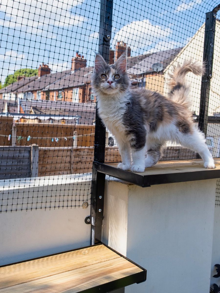 ProtectaPet® Pfosten für Katzenzaun-Systeme