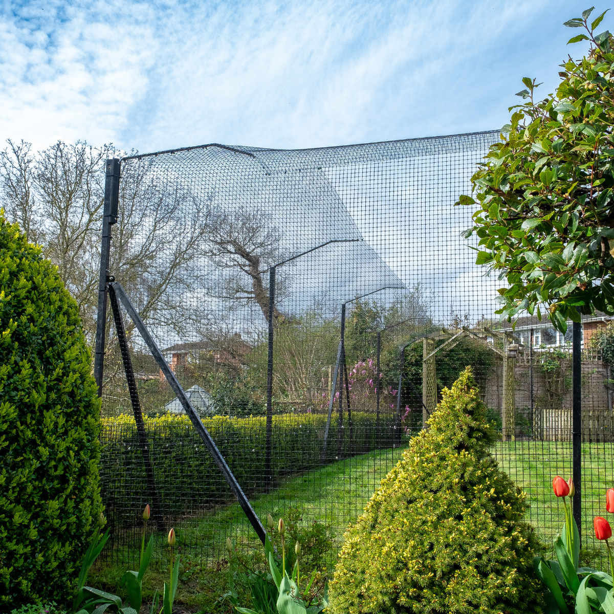 Cat Enclosures